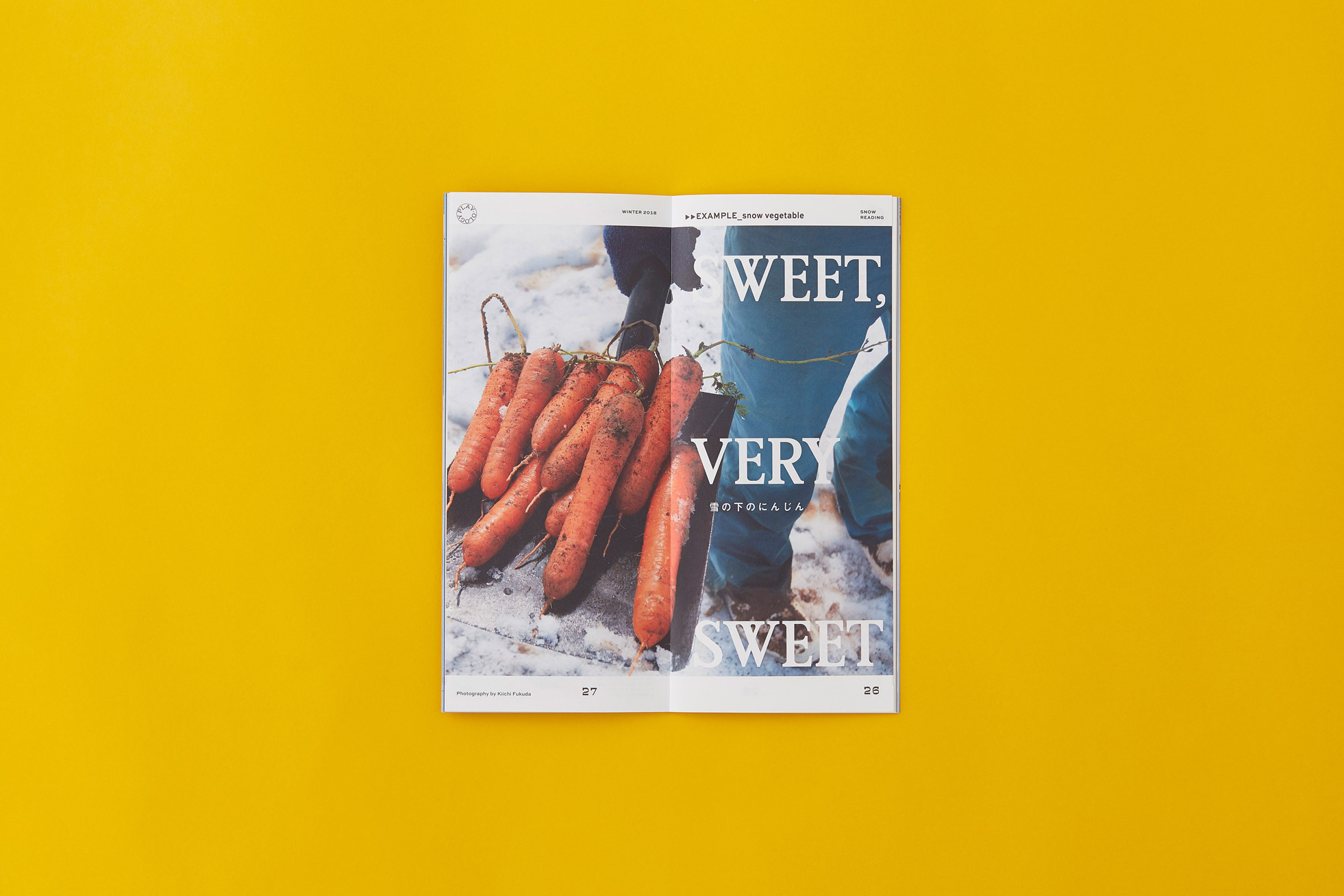NORTH FACE PLAY, PLAY-OLOGY: ART DIRECTION & DESIGN